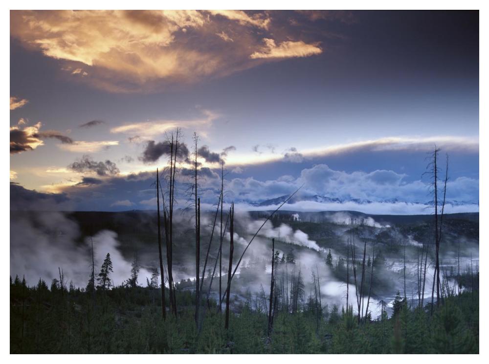Norris Geyser Basin With Steam Plumes From Geysers, Yellowstone National Park, Wyoming-Paper Art-50X38