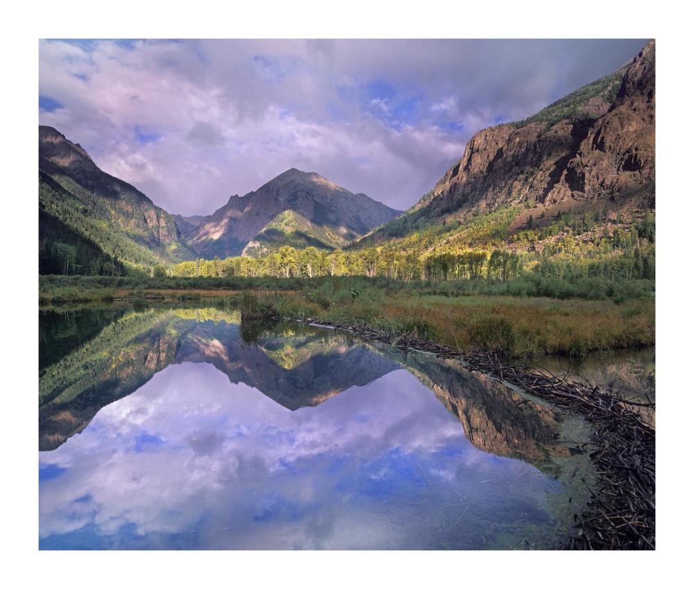 Handies Peak Reflected In Beaver Pond, Maroon Bells-Snowmass Wilderness Area, Colorado-Paper Art-18X15.28