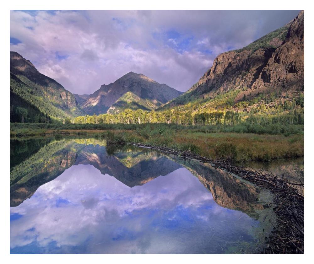 Handies Peak Reflected In Beaver Pond, Maroon Bells-Snowmass Wilderness Area, Colorado-Paper Art-32X26.9