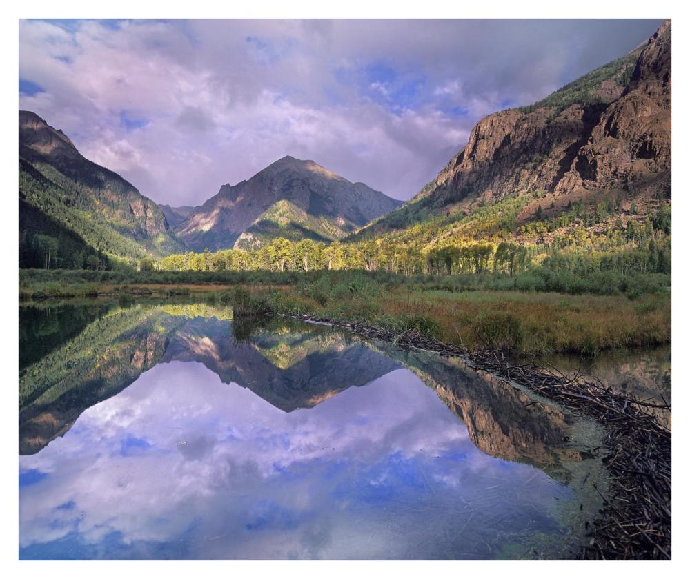 Handies Peak Reflected In Beaver Pond, Maroon Bells-Snowmass Wilderness Area, Colorado-Paper Art-38X31.88