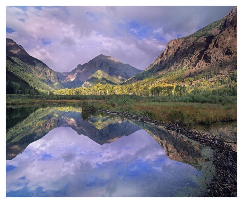 Handies Peak Reflected In Beaver Pond, Maroon Bells-Snowmass Wilderness Area, Colorado-Paper Art-42X35.2