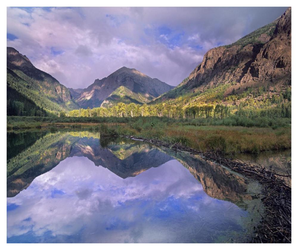 Handies Peak Reflected In Beaver Pond, Maroon Bells-Snowmass Wilderness Area, Colorado-Paper Art-46X38.52