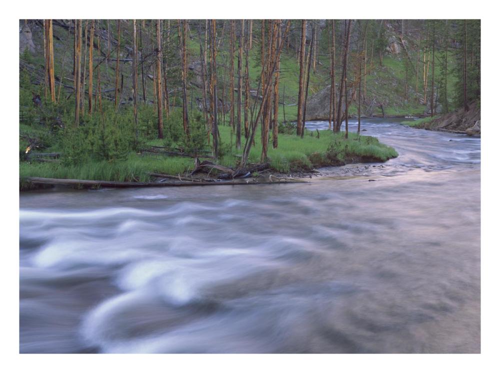 Gibbon River Rapids Popular River For Trout Fishing, Yellowstone National Park, Wyoming-Paper Art-26X20