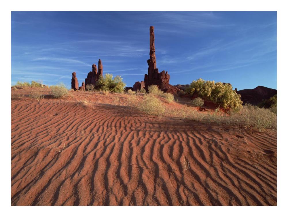 Totem Pole And Yei Bi Chei With Sand Dunes, Monument Valley Navajo Tribal Park, Arizona-Paper Art-26X20