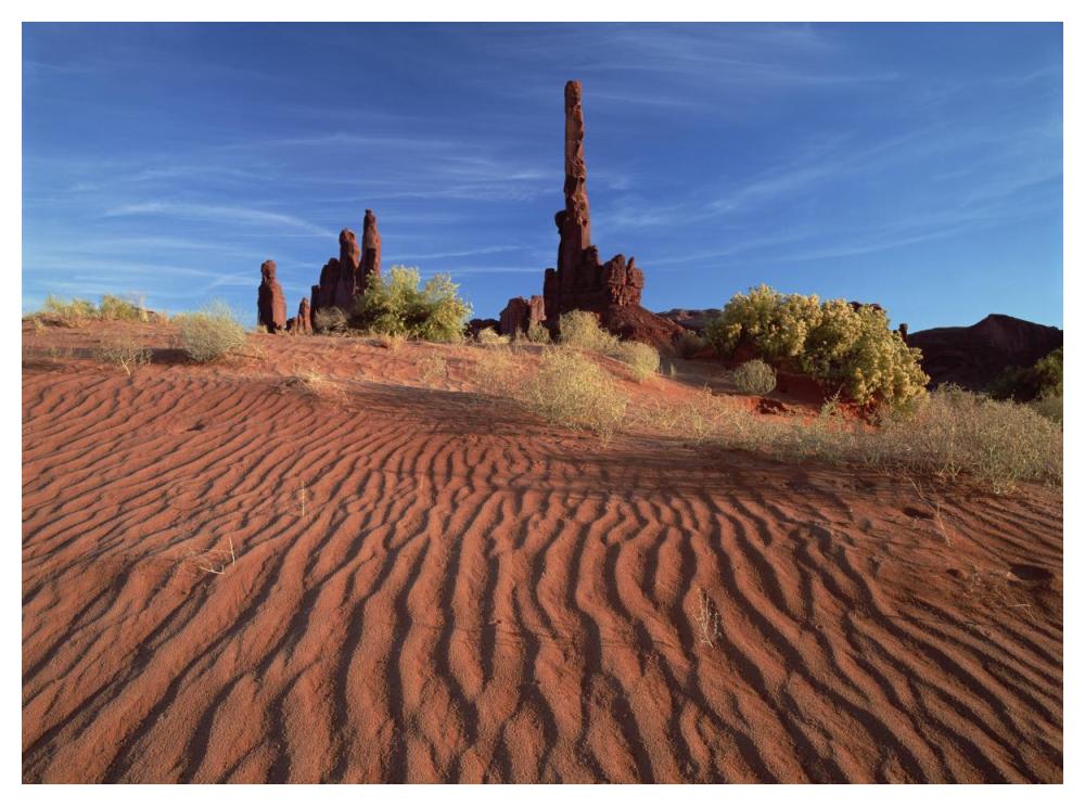 Totem Pole And Yei Bi Chei With Sand Dunes, Monument Valley Navajo Tribal Park, Arizona-Paper Art-50X38