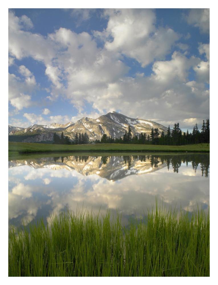 Mammoth Peak And Scattered Clouds Reflected In Lake, Yosemite National Park, California-Paper Art-14X18