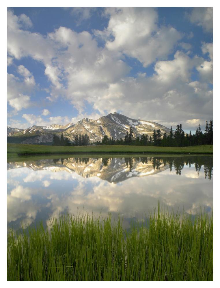 Mammoth Peak And Scattered Clouds Reflected In Lake, Yosemite National Park, California-Paper Art-32X42