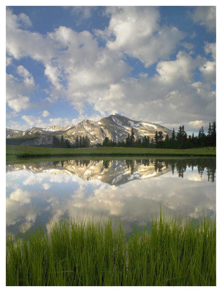 Mammoth Peak And Scattered Clouds Reflected In Lake, Yosemite National Park, California-Paper Art-38X50