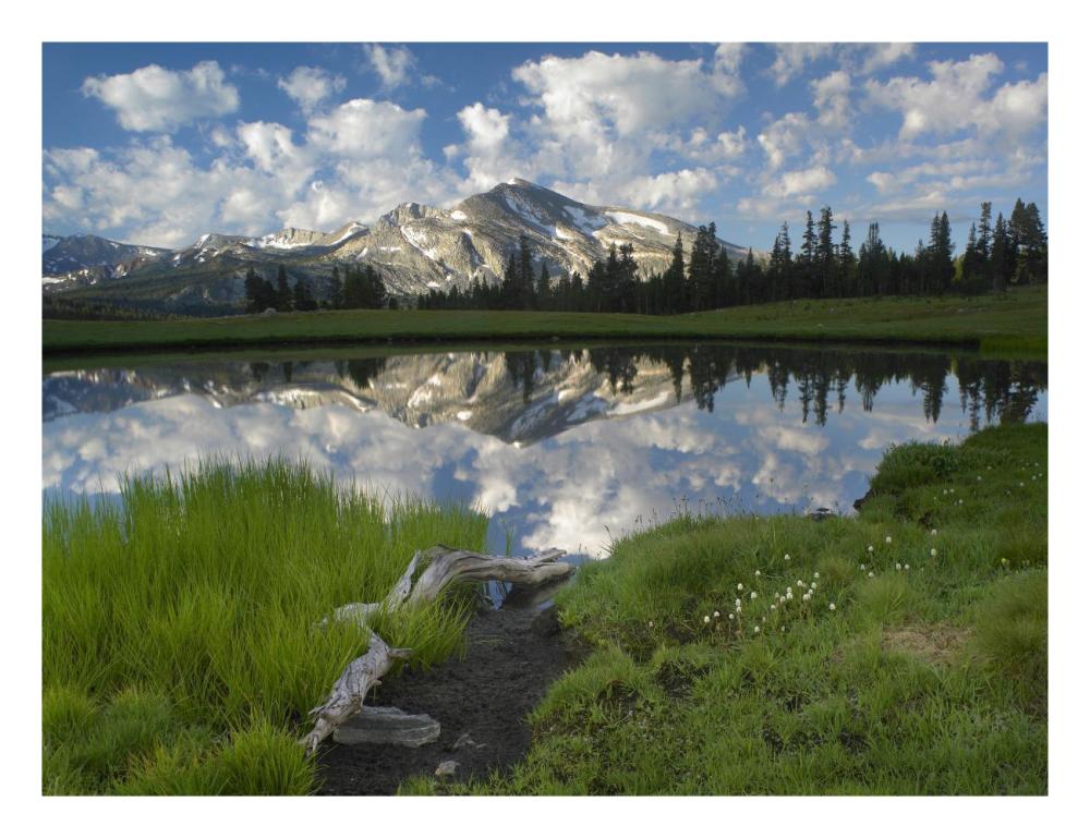 Mammoth Peak And Scattered Clouds Reflected In Lake, Yosemite National Park, California-Paper Art-26X20