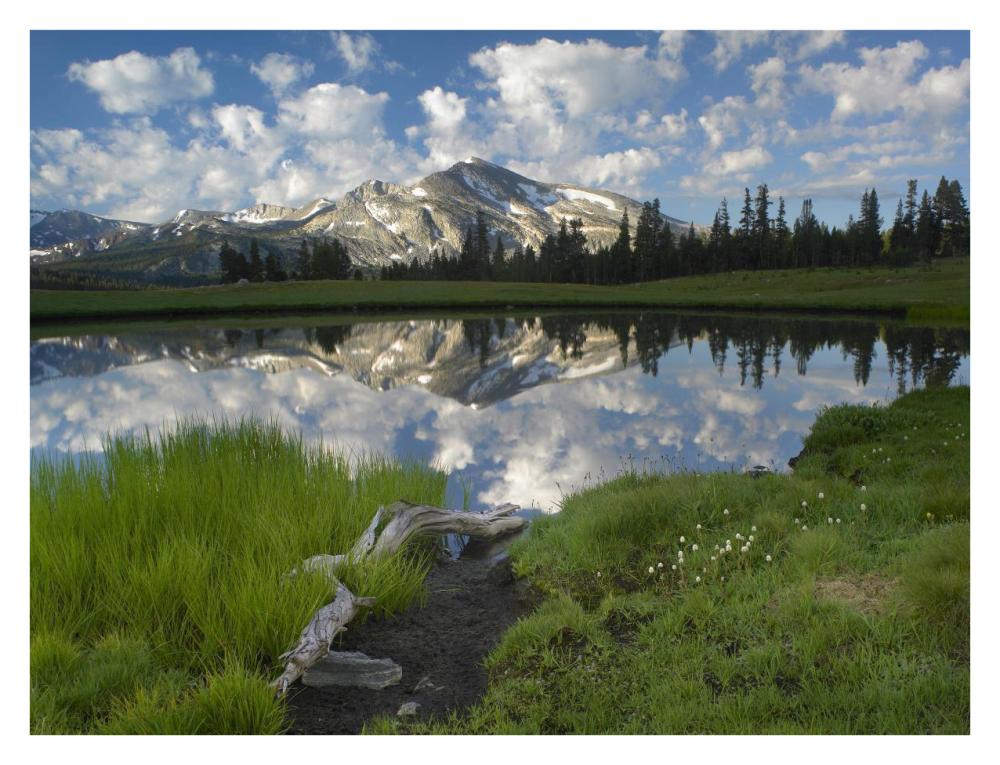 Mammoth Peak And Scattered Clouds Reflected In Lake, Yosemite National Park, California-Paper Art-34X26
