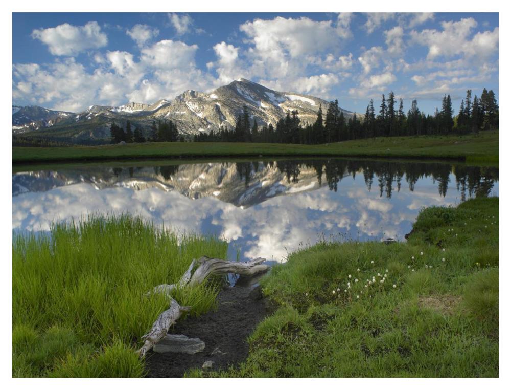 Mammoth Peak And Scattered Clouds Reflected In Lake, Yosemite National Park, California-Paper Art-42X32