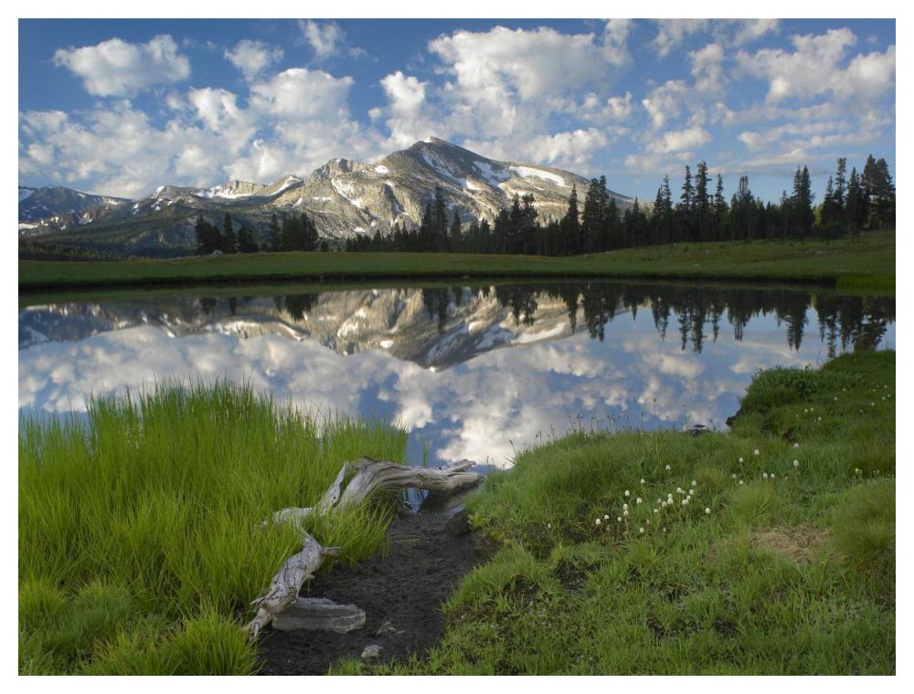 Mammoth Peak And Scattered Clouds Reflected In Lake, Yosemite National Park, California-Paper Art-50X38
