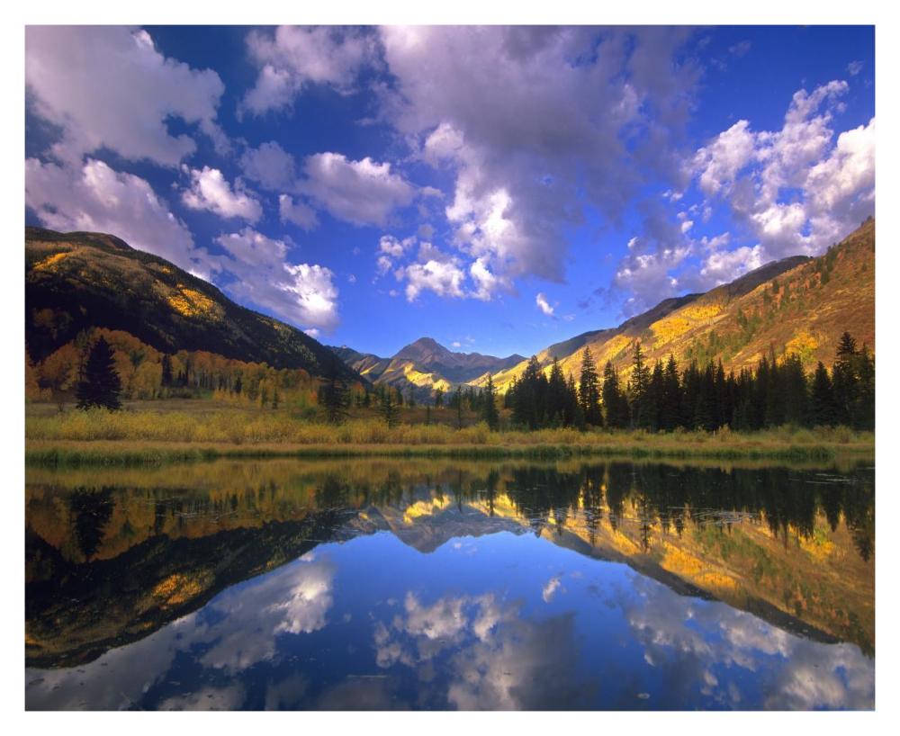 Haystack Mountain Reflected In Beaver Pond, Maroon Bells, Snowmass Wilderness, Colorado-Paper Art-37X30