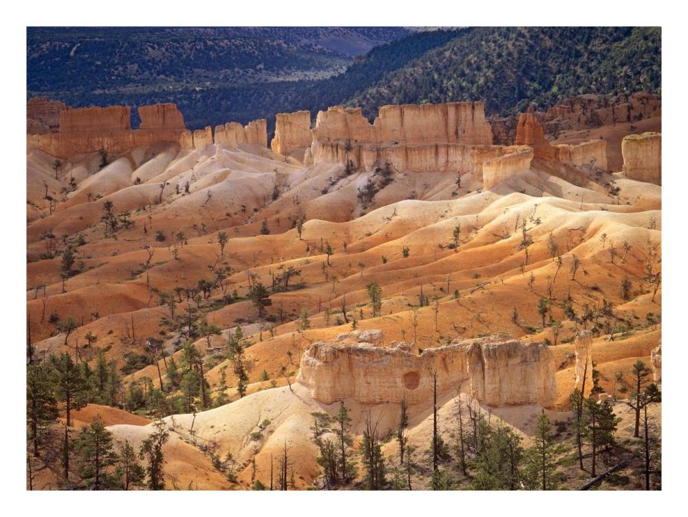 Landscape Of Eroded Formations Called Hoodoos And Fins, Bryce Canyon National Park, Utah-Paper Art-26X20