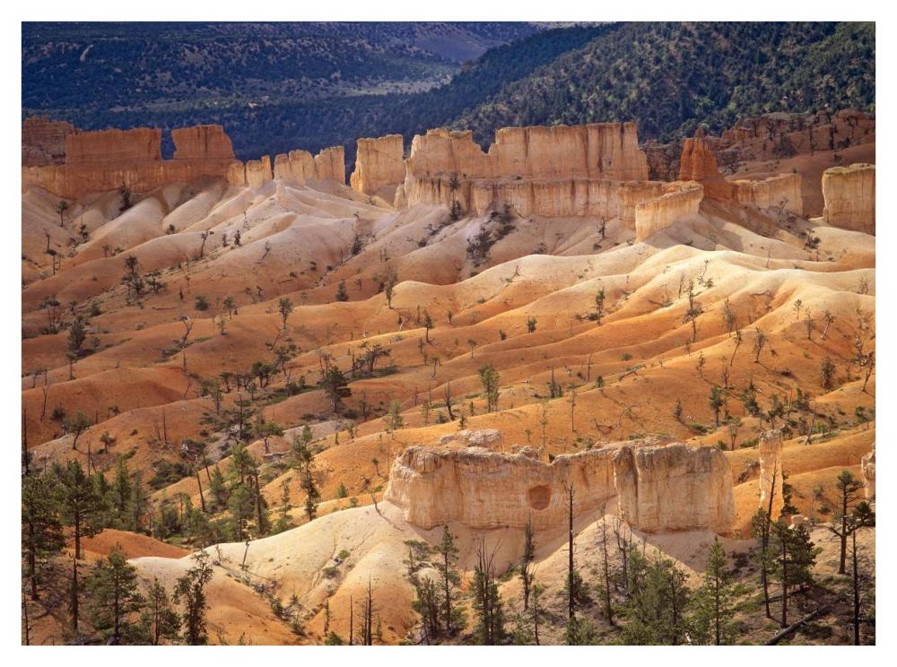 Landscape Of Eroded Formations Called Hoodoos And Fins, Bryce Canyon National Park, Utah-Paper Art-42X32