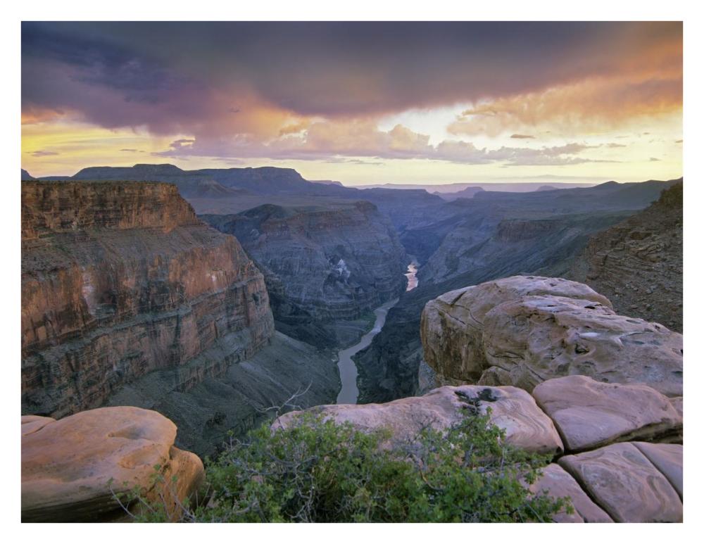 Toroweap Overlook With A View Of The Colorado River, Grand Canyon National Park, Arizona-Paper Art-34X26