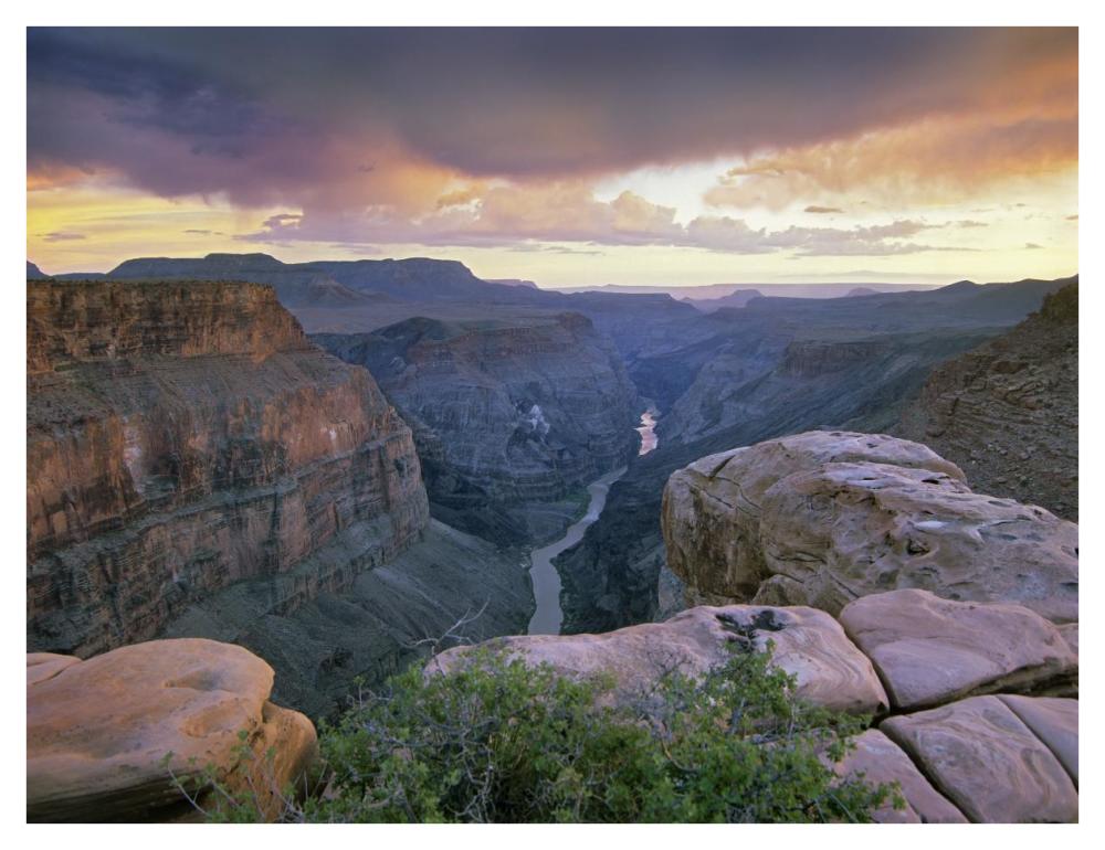 Toroweap Overlook With A View Of The Colorado River, Grand Canyon National Park, Arizona-Paper Art-42X32