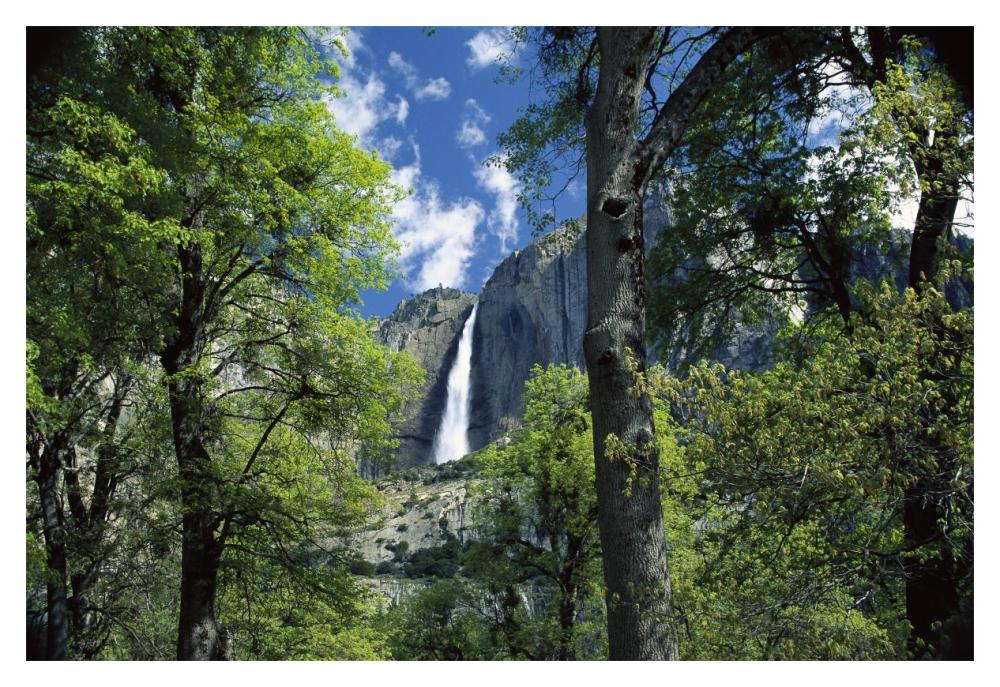 Bridal Veil Falls Tumble 620 Feet To The Valley Floor, Yosemite National Park, California-Paper Art-20X14