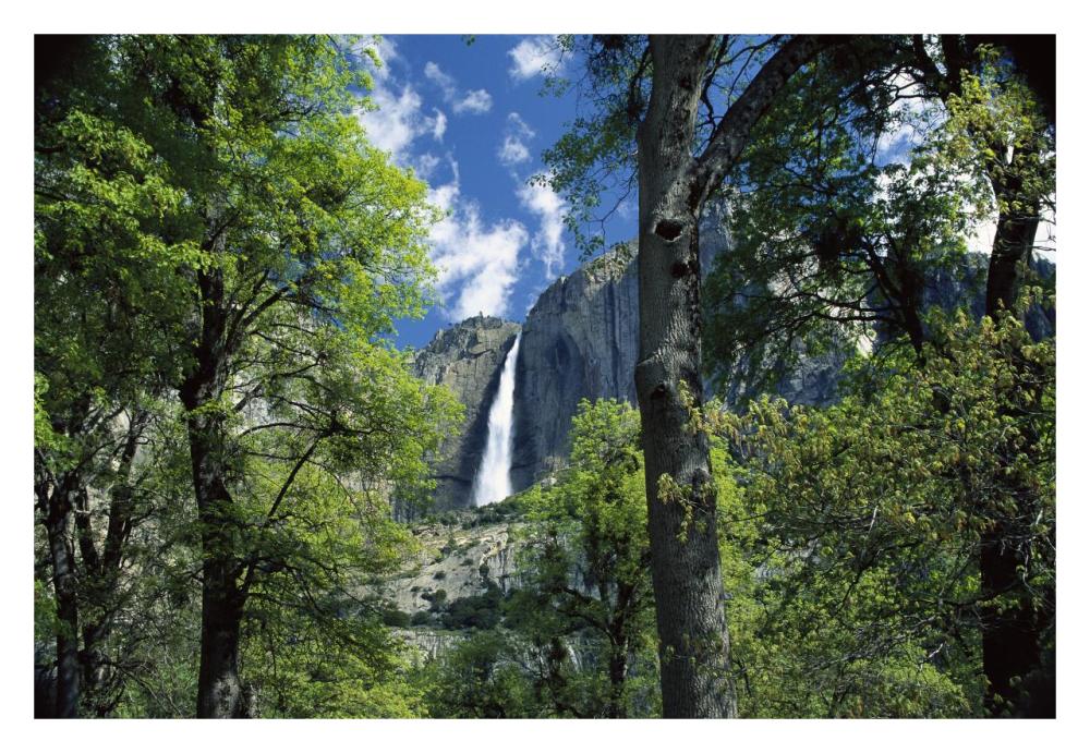 Bridal Veil Falls Tumble 620 Feet To The Valley Floor, Yosemite National Park, California-Paper Art-32X22
