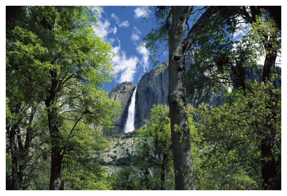 Bridal Veil Falls Tumble 620 Feet To The Valley Floor, Yosemite National Park, California-Paper Art-50X34