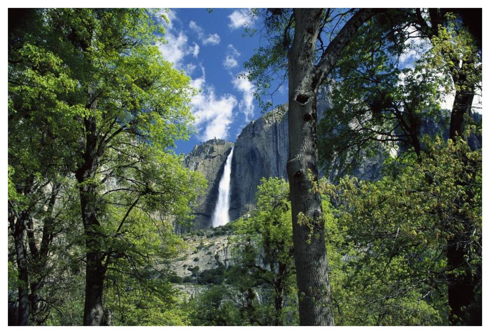 Bridal Veil Falls Tumble 620 Feet To The Valley Floor, Yosemite National Park, California-Paper Art-62X42