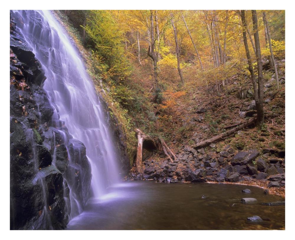 Crabtree Falls Cascading Into Stream In Autumn Forest, Blue Ridge Parkway, North Carolina-Paper Art-30X24