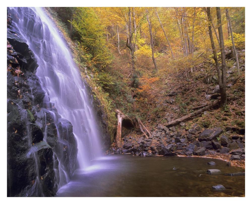 Crabtree Falls Cascading Into Stream In Autumn Forest, Blue Ridge Parkway, North Carolina-Paper Art-37X30