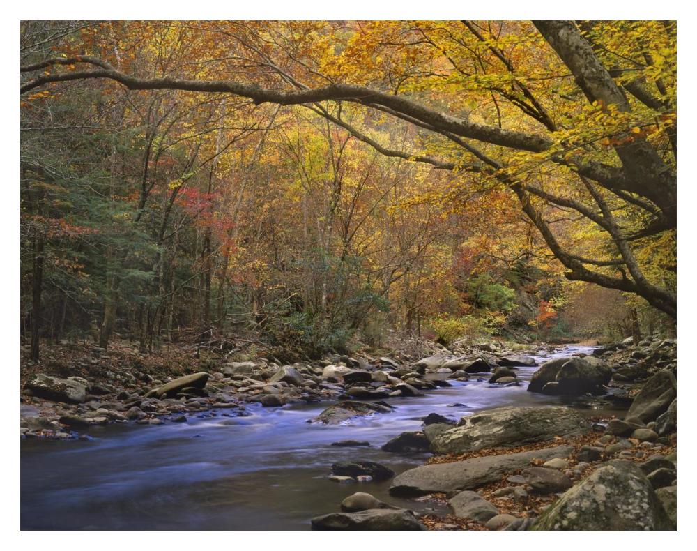 Little River Flowing Through Autumn Forest, Great Smoky Mountains National Park, Tennessee-Paper Art-18X14