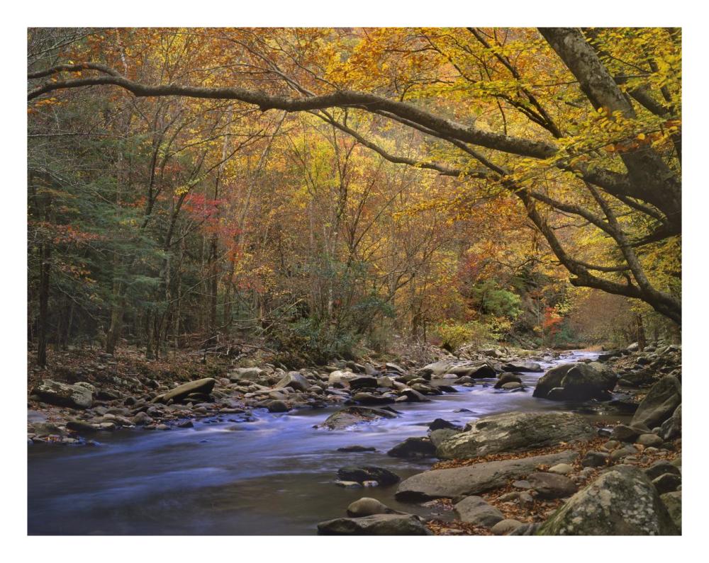 Little River Flowing Through Autumn Forest, Great Smoky Mountains National Park, Tennessee-Paper Art-26X20