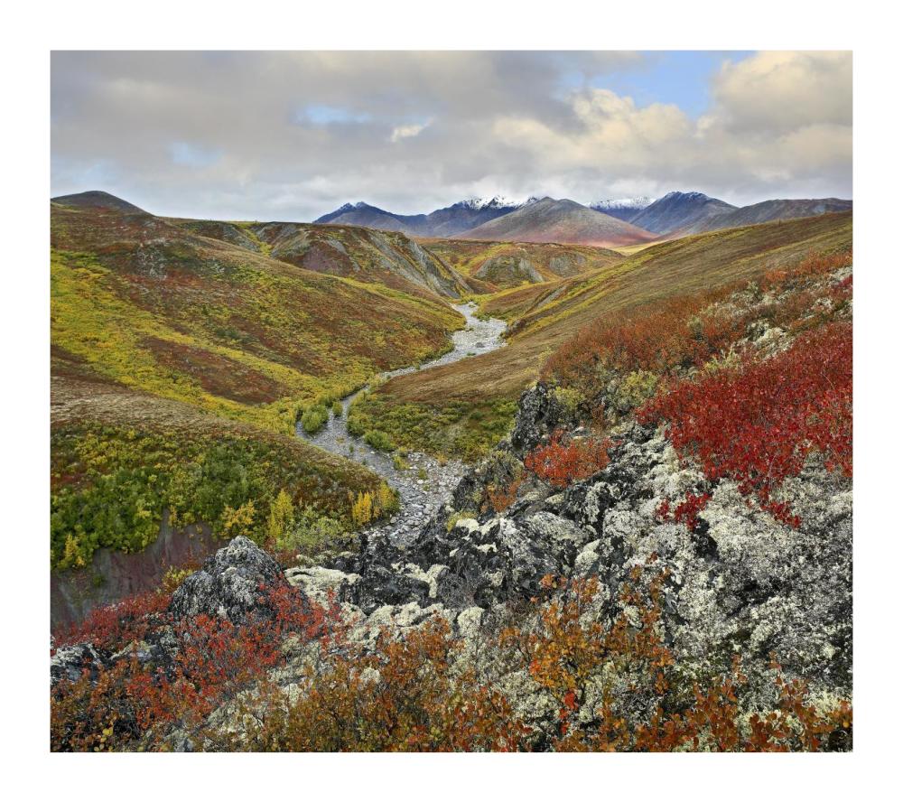 River Flowing Through Tundra, Ogilvie Mountains, Tombstone Territorial Park, Yukon, Canada-Paper Art-18X16.08