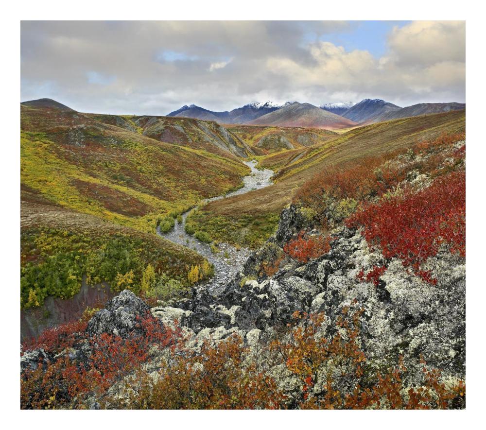 River Flowing Through Tundra, Ogilvie Mountains, Tombstone Territorial Park, Yukon, Canada-Paper Art-24X21.36
