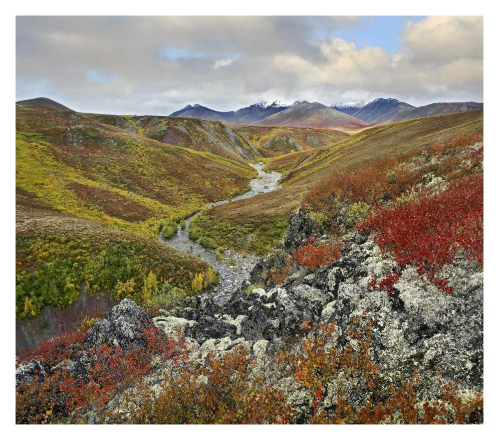 River Flowing Through Tundra, Ogilvie Mountains, Tombstone Territorial Park, Yukon, Canada-Paper Art-32X28.4