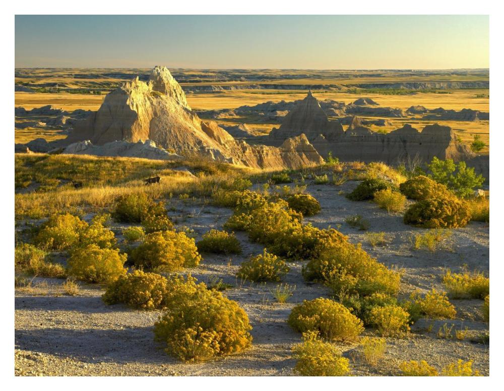 Coyote Bush And Eroded Features Bordering Grasslands, Badlands National Park, South Dakota-Paper Art-18X14