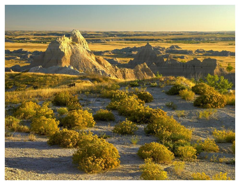 Coyote Bush And Eroded Features Bordering Grasslands, Badlands National Park, South Dakota-Paper Art-50X38