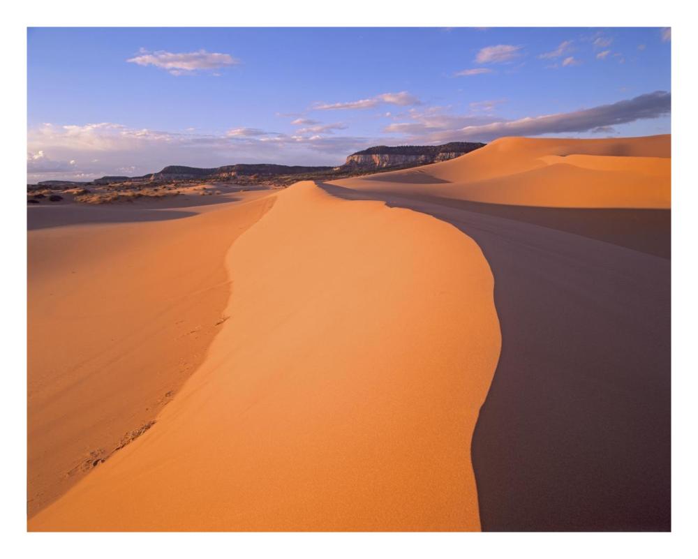 Wind Ripples In Sand Dunes Beneath Sandstone Cliffs, Coral Pink Sand Dunes State Park, Utah-Paper Art-26X20