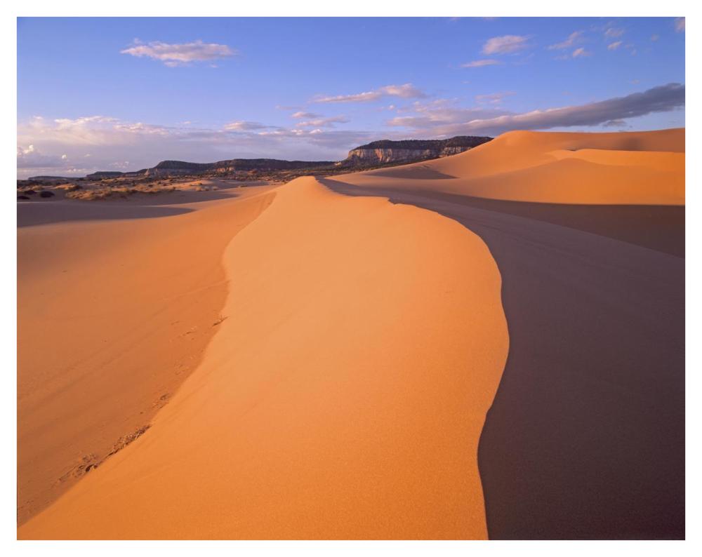 Wind Ripples In Sand Dunes Beneath Sandstone Cliffs, Coral Pink Sand Dunes State Park, Utah-Paper Art-42X32