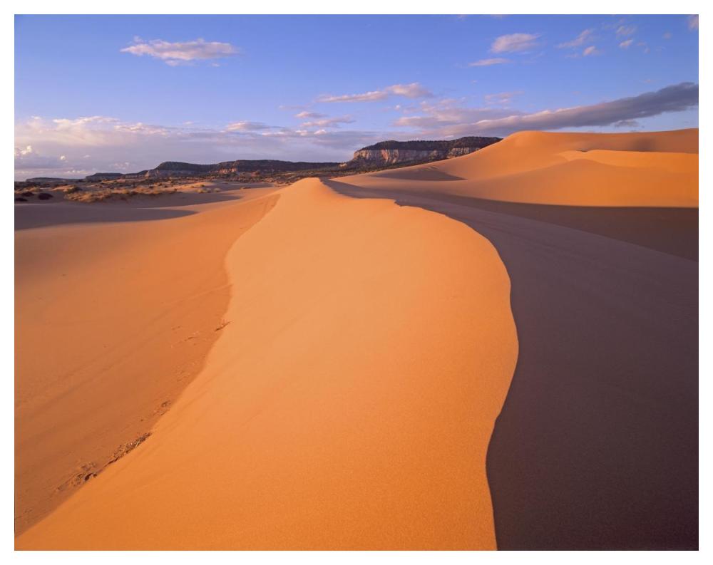 Wind Ripples In Sand Dunes Beneath Sandstone Cliffs, Coral Pink Sand Dunes State Park, Utah-Paper Art-50X38