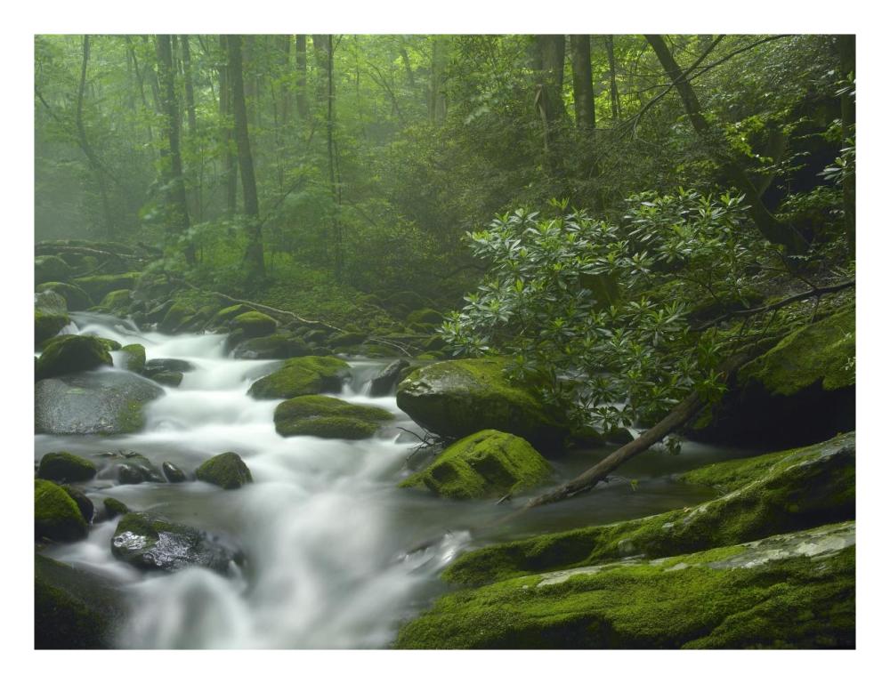 Roaring Fork River Flowing Through Forest In Great Smoky Mountains National Park, Tennessee-Paper Art-26X20
