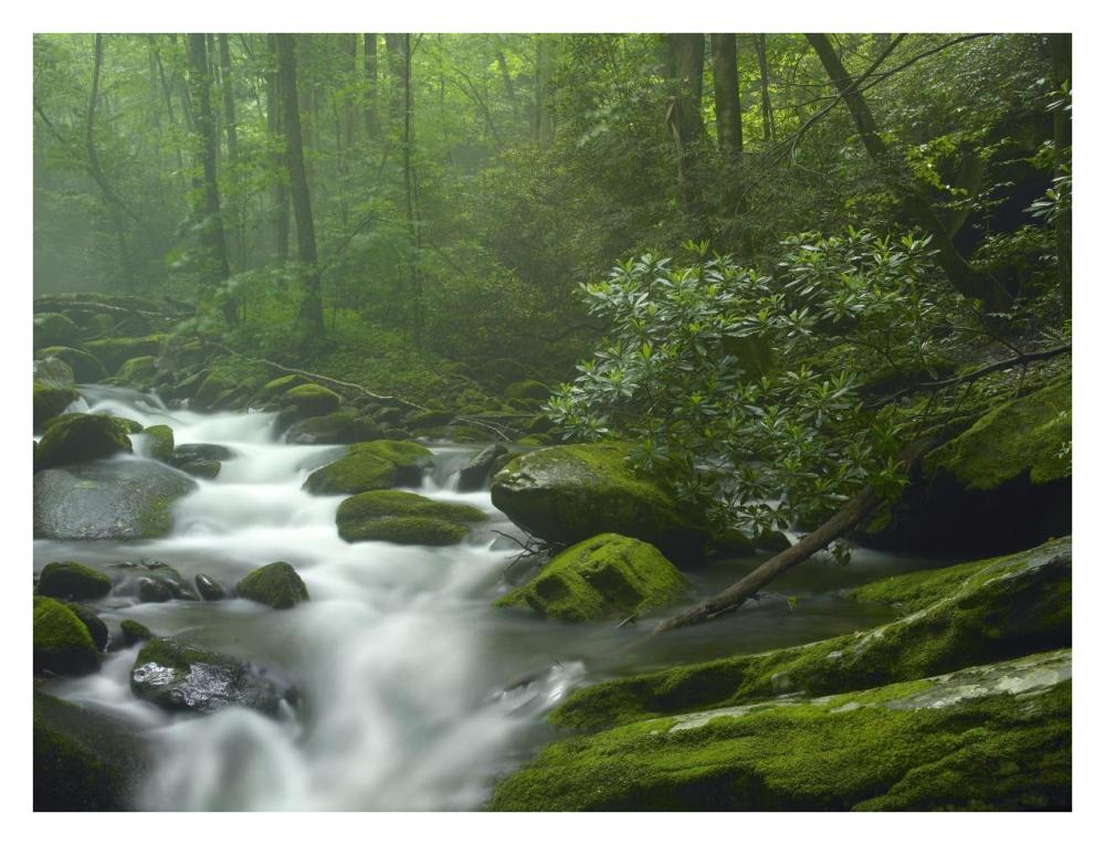 Roaring Fork River Flowing Through Forest In Great Smoky Mountains National Park, Tennessee-Paper Art-34X26