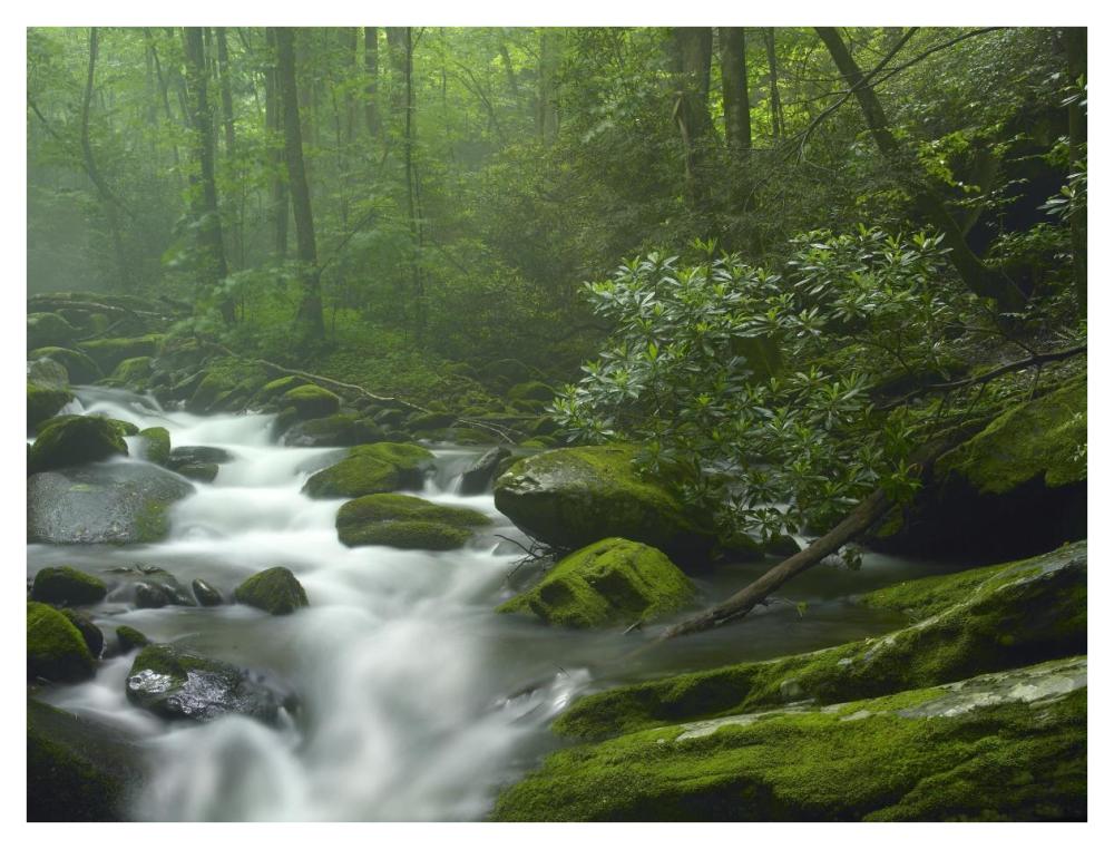 Roaring Fork River Flowing Through Forest In Great Smoky Mountains National Park, Tennessee-Paper Art-42X32