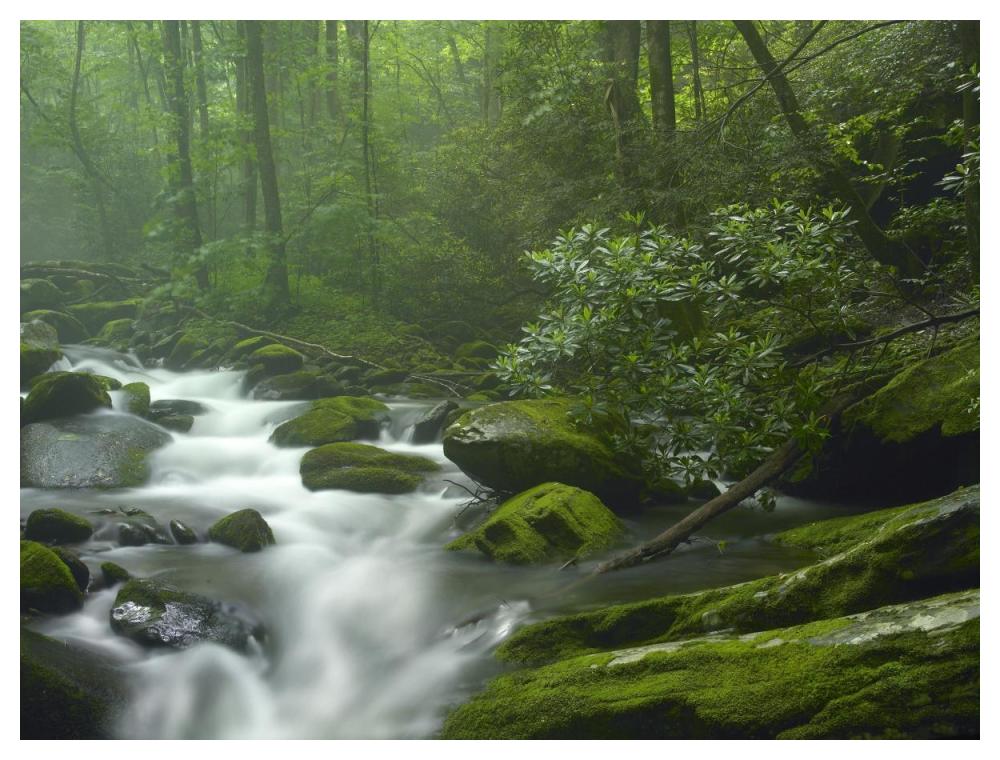 Roaring Fork River Flowing Through Forest In Great Smoky Mountains National Park, Tennessee-Paper Art-50X38