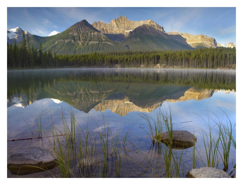 Bow Range And Boreal Forest Reflected In Herbert Lake, Banff National Park, Alberta, Canada-Paper Art-18X14