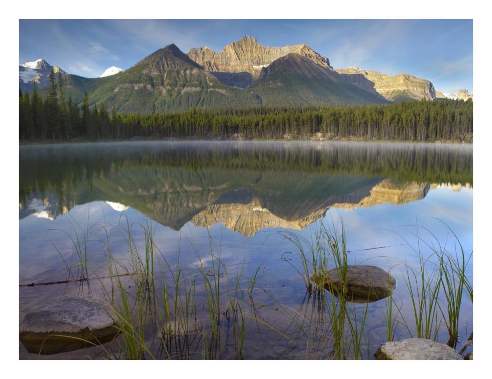 Bow Range And Boreal Forest Reflected In Herbert Lake, Banff National Park, Alberta, Canada-Paper Art-26X20