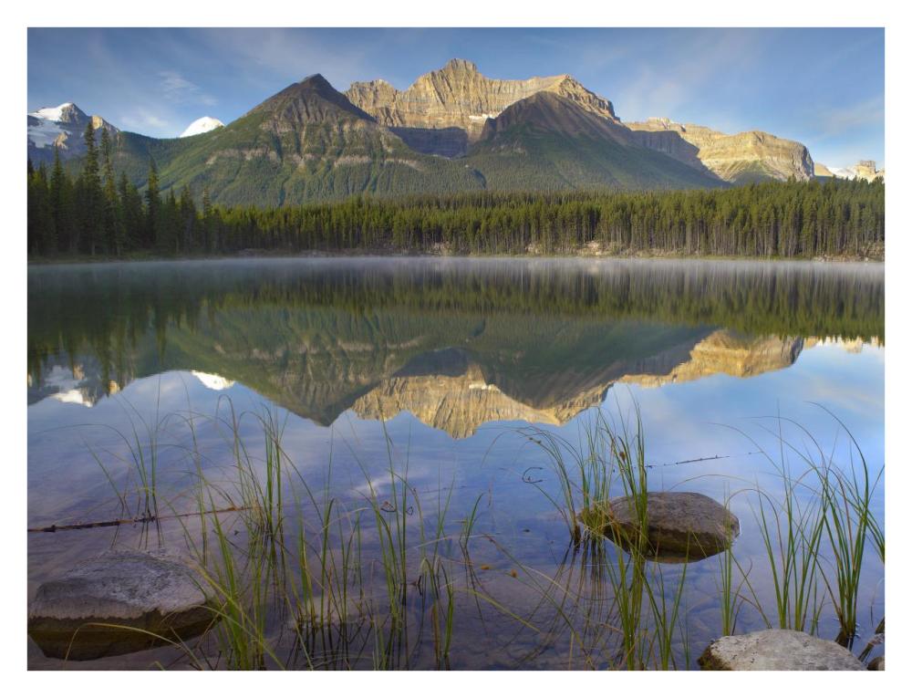 Bow Range And Boreal Forest Reflected In Herbert Lake, Banff National Park, Alberta, Canada-Paper Art-34X26
