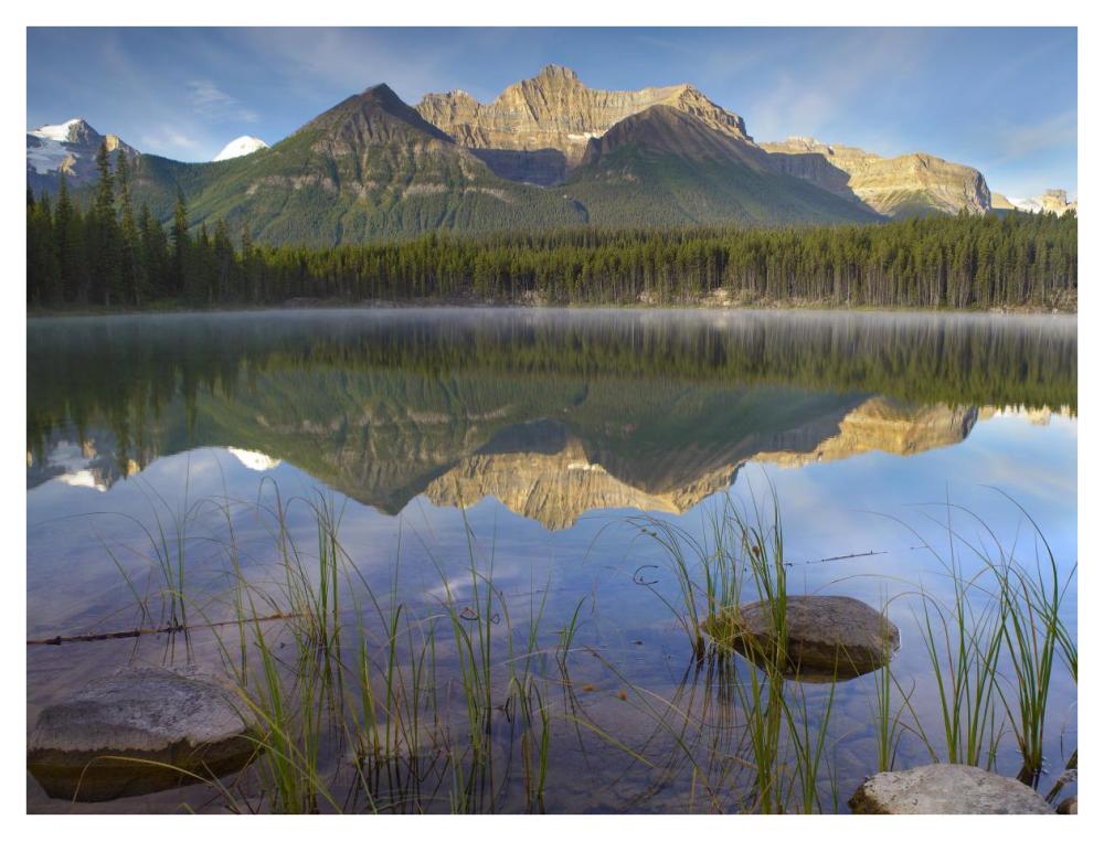 Bow Range And Boreal Forest Reflected In Herbert Lake, Banff National Park, Alberta, Canada-Paper Art-42X32