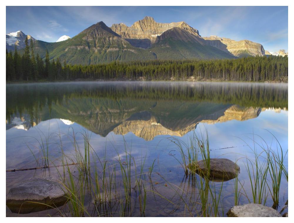 Bow Range And Boreal Forest Reflected In Herbert Lake, Banff National Park, Alberta, Canada-Paper Art-50X38