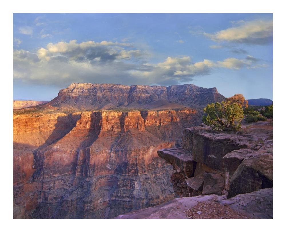 Sandstone Cliffs And Canyon Seen From Toroweap Overlook, Grand Canyon National Park, Arizona-Paper Art-22X18