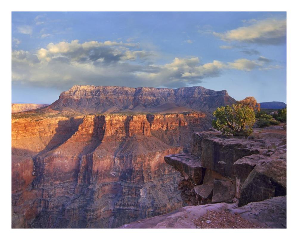 Sandstone Cliffs And Canyon Seen From Toroweap Overlook, Grand Canyon National Park, Arizona-Paper Art-26X22