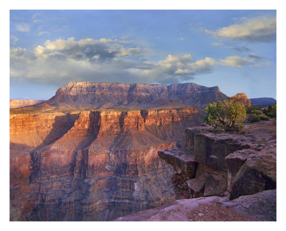 Sandstone Cliffs And Canyon Seen From Toroweap Overlook, Grand Canyon National Park, Arizona-Paper Art-30X24