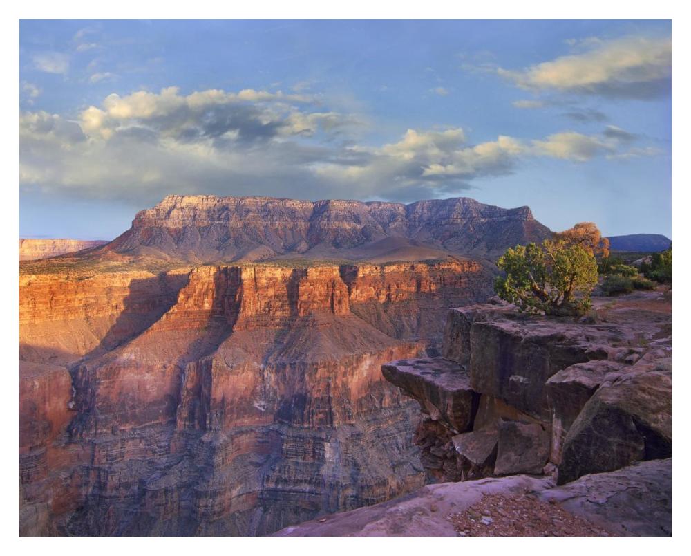 Sandstone Cliffs And Canyon Seen From Toroweap Overlook, Grand Canyon National Park, Arizona-Paper Art-37X30
